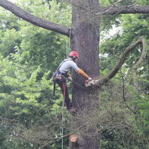 Abbatage-Longpont-sur-Org2